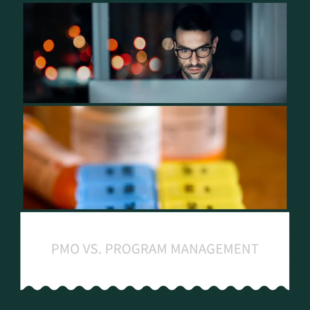 Read more about the article PMO vs. Program Management: Understanding the Differences